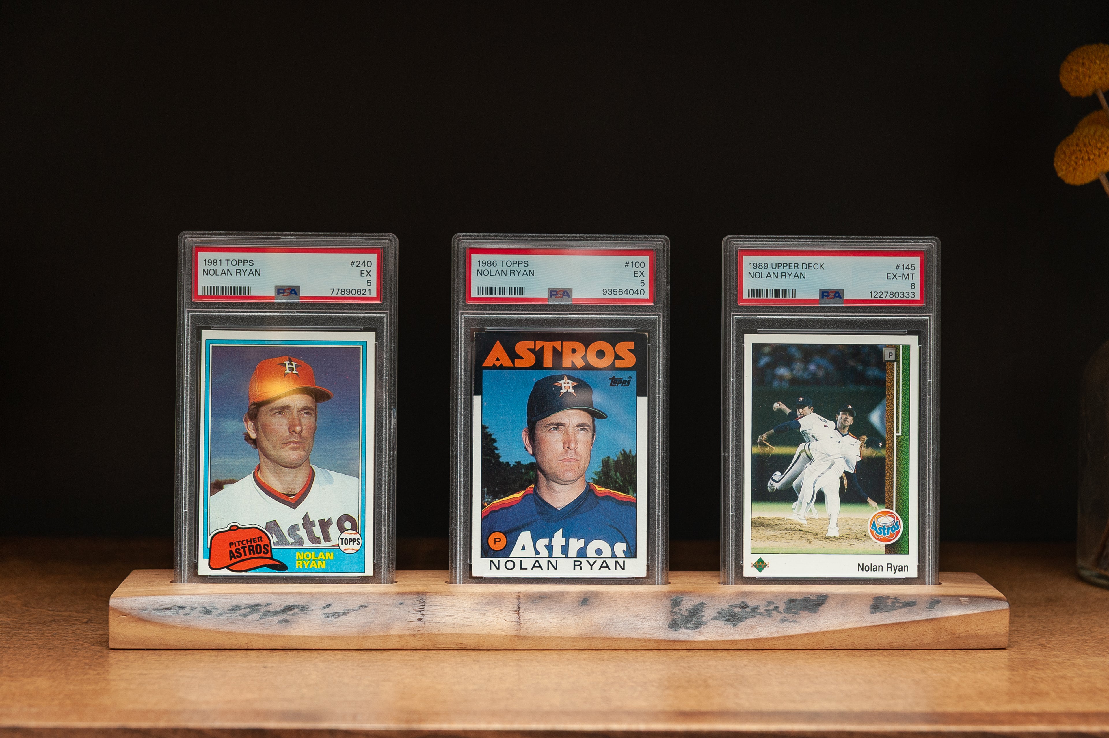 Live Edge PSA Graded Trading Card Display - Solid Walnut
