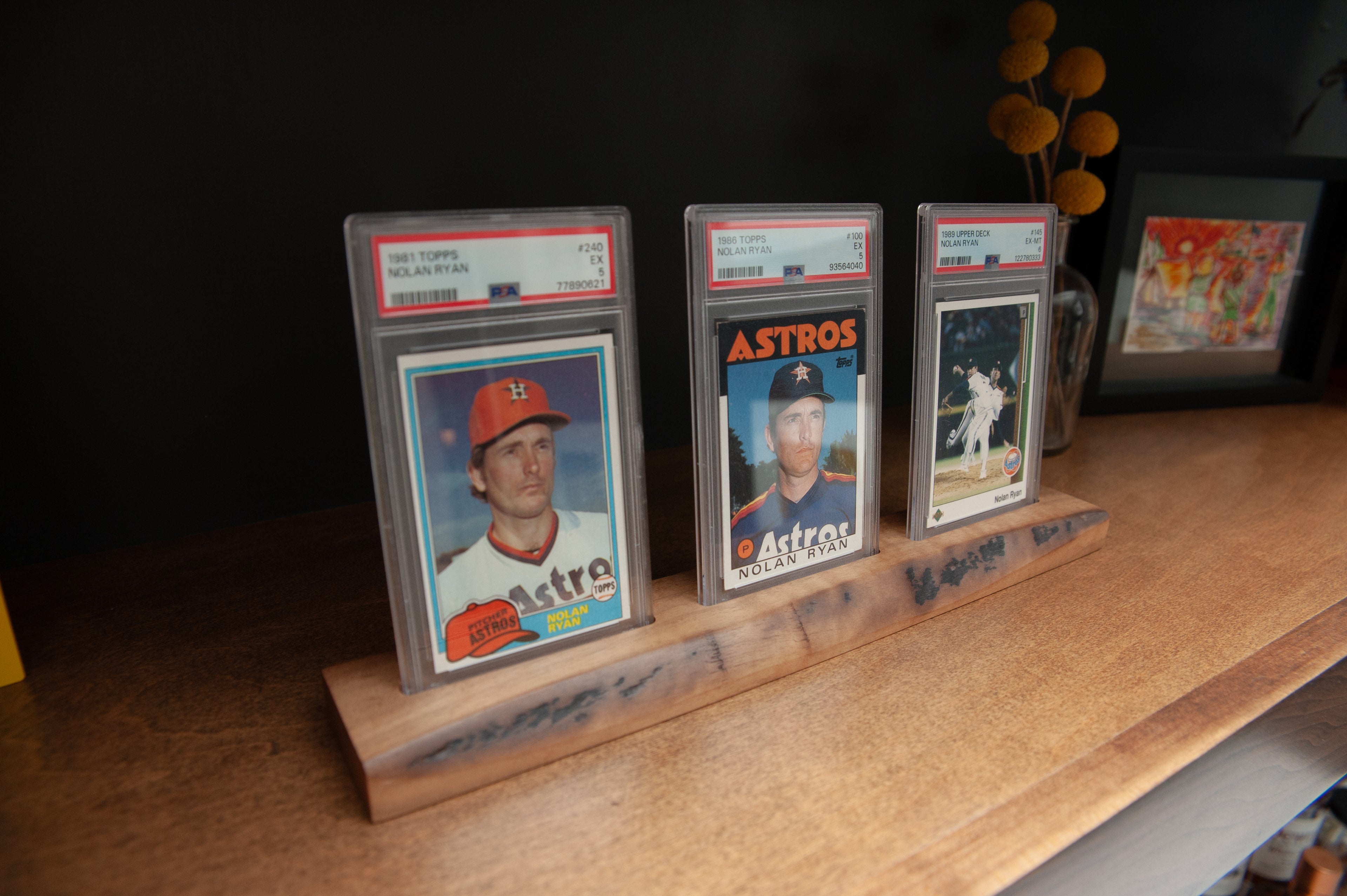 Live Edge PSA Graded Trading Card Display - Solid Walnut